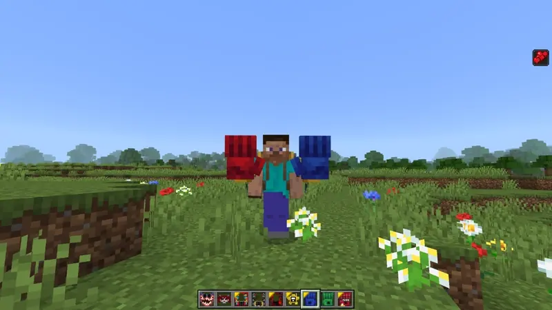 Grabpack