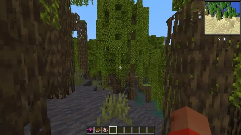 Minimap in dynamic
