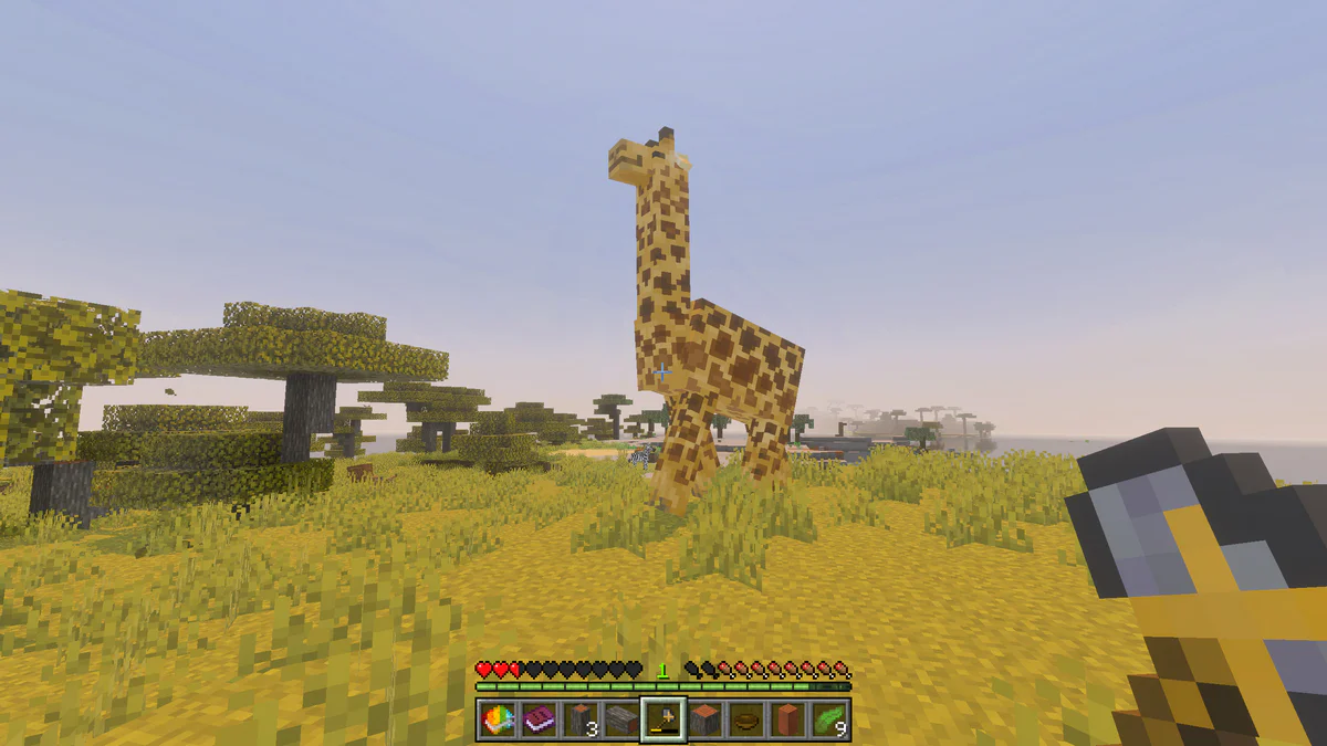 Giraffe