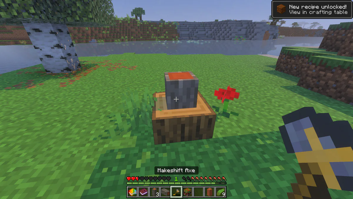 Wood Chopping block