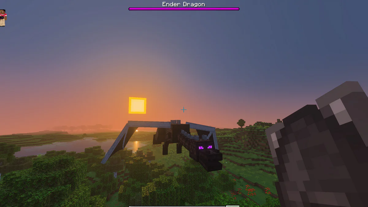 Ender Dragon in Overworld