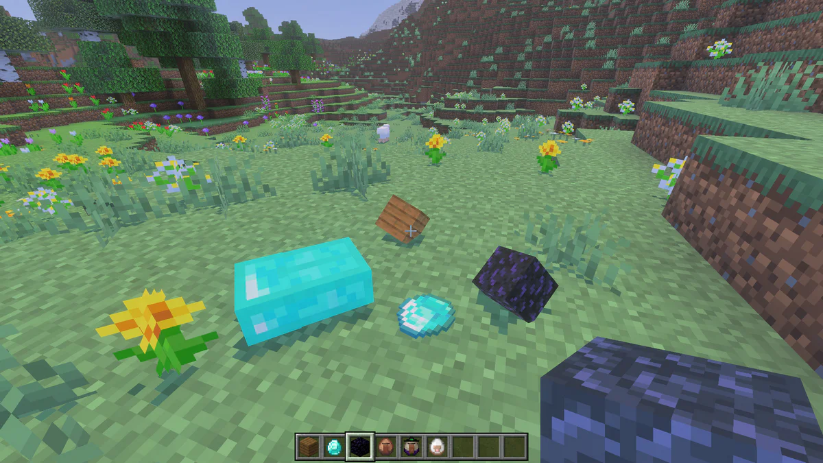 Items lying on the ground