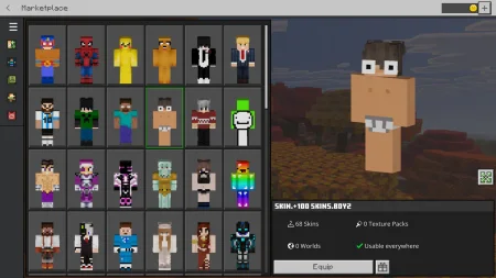 100 random skins