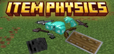Item Physics mod