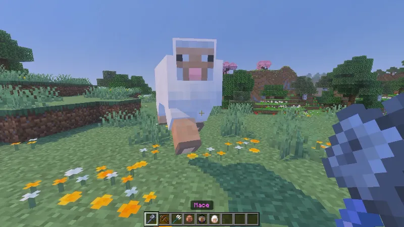 Sheep ragdoll