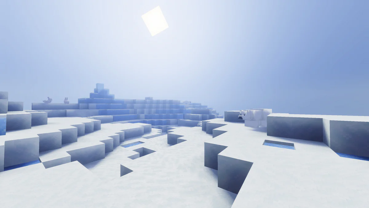 Winter Scenery
